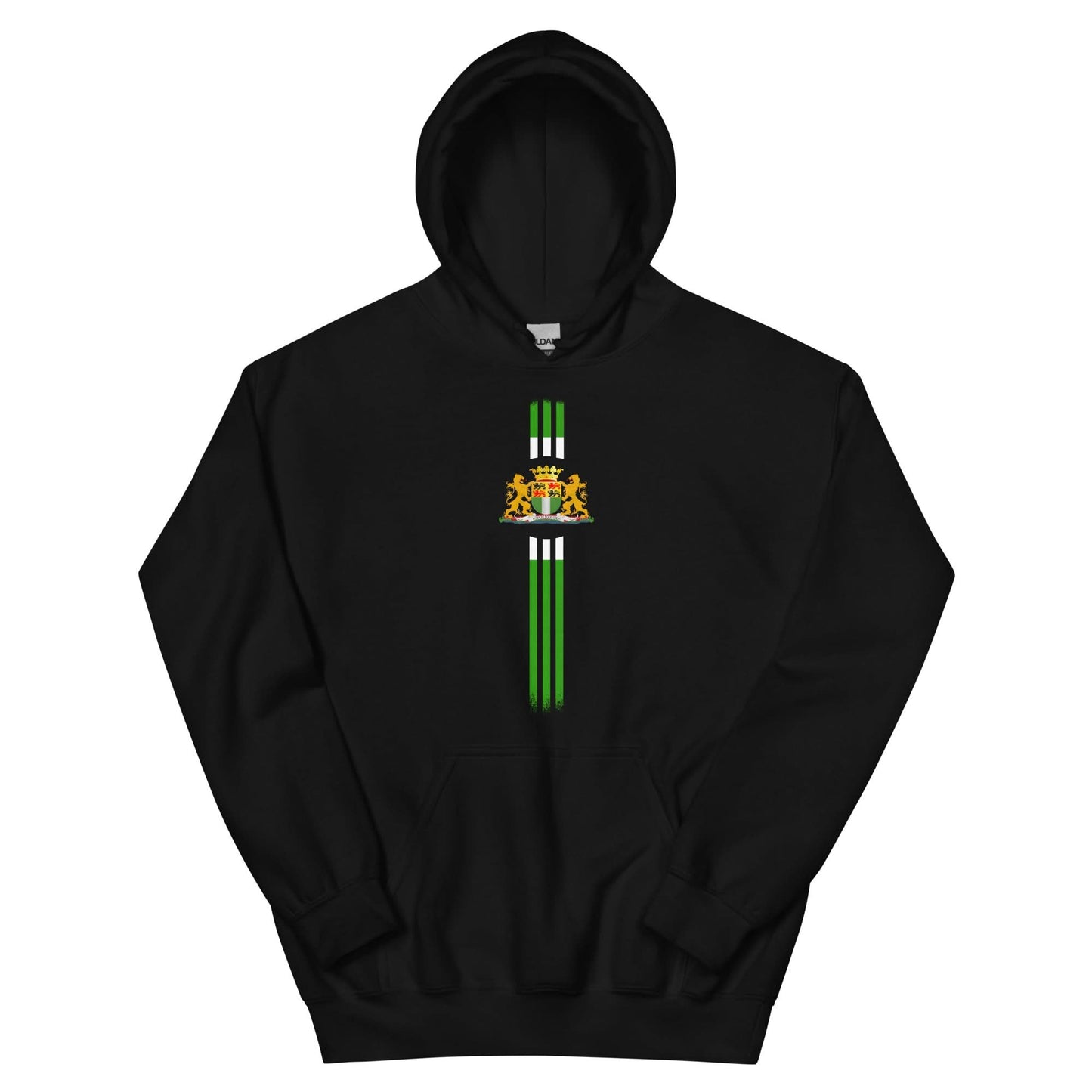 Unisex hoodie (Rotterdam Line)