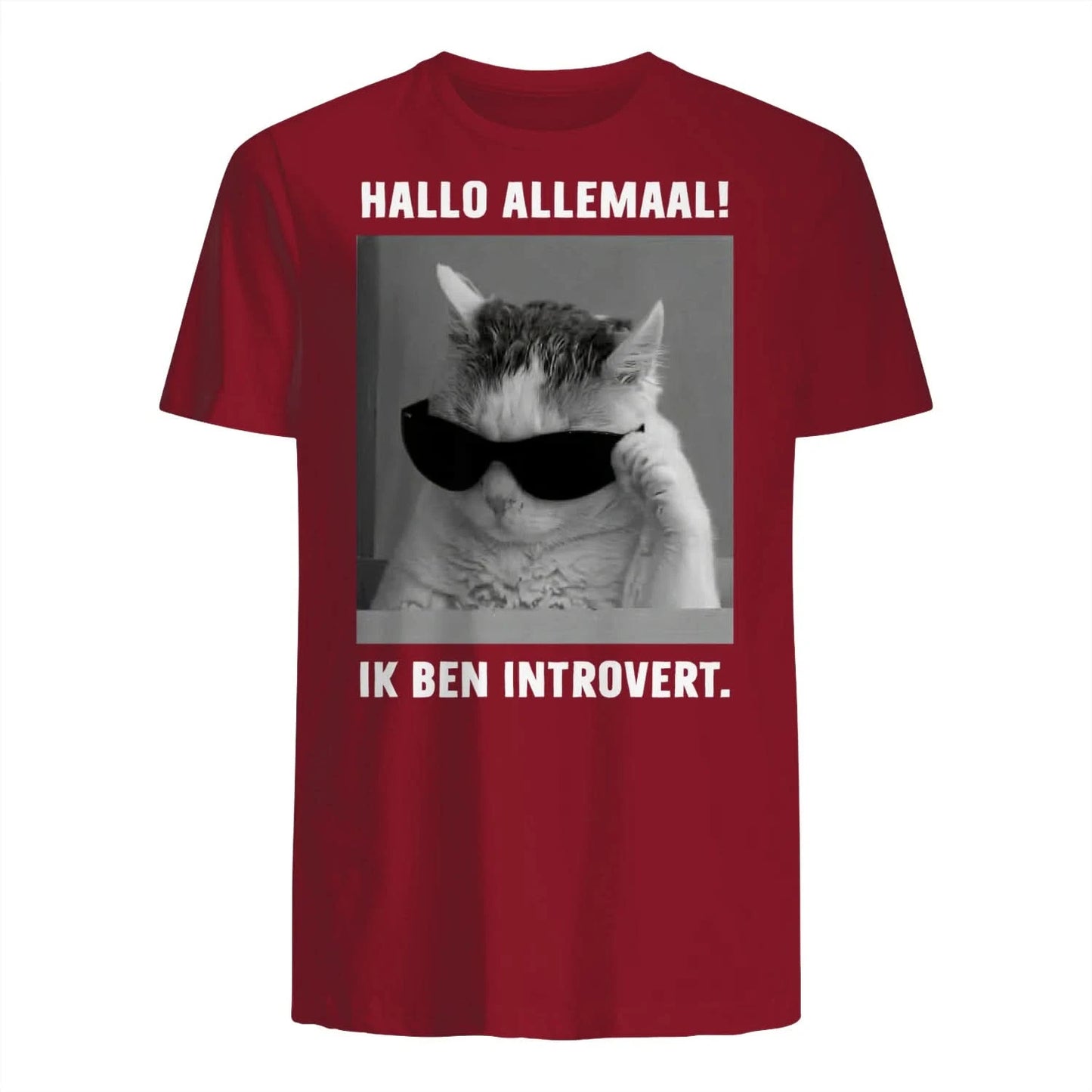 {"origin":"mayzing","colors":["Antiek Kersenrood","Antiek Kersenrood","Antiek Kersenrood","Antiek Kersenrood","Antiek Kersenrood","Antiek Kersenrood","Antiek Kersenrood"],"sizes":["4XL","3XL","2XL","XL","L","M","S"],"isMainImage":true,"isCustomMockup":false}