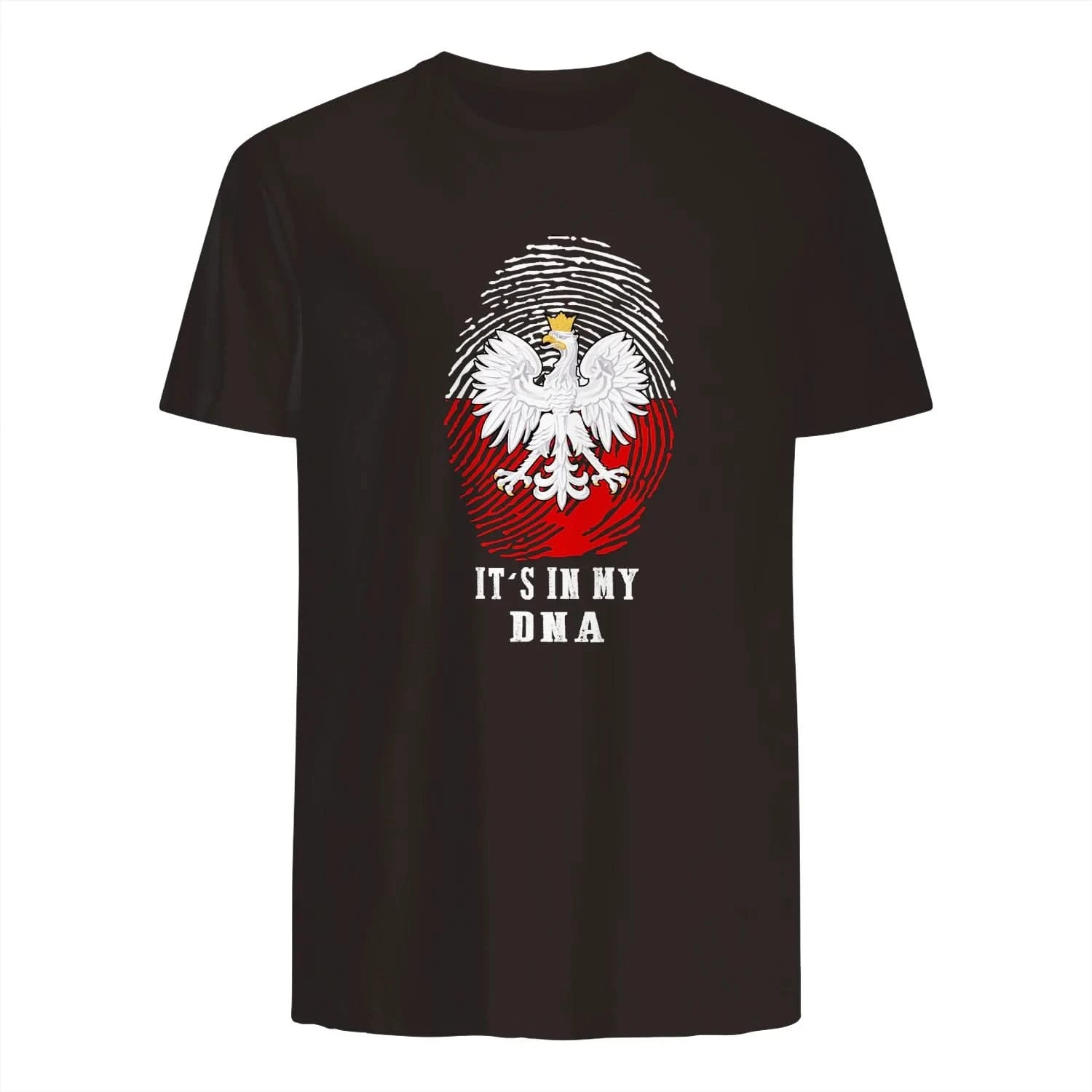 {"origin":"mayzing","colors":["Donkere Chocolade","Donkere Chocolade","Donkere Chocolade","Donkere Chocolade","Donkere Chocolade","Donkere Chocolade"],"sizes":["3XL","2XL","XL","L","M","S"],"isMainImage":true}