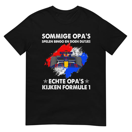 Sommige opa's spelen bingo en doen dutjes, echte opa's kijken formule 1