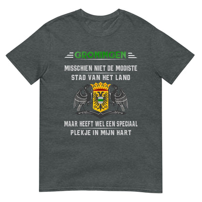 Unisex T-shirt (Groningen STAD VAN HET LAND)