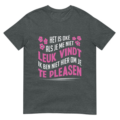 Unisex T-shirt (Het is Oké)