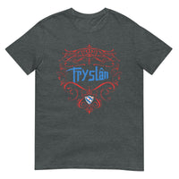 Unisex T-shirt (Friesland- Nieuw)