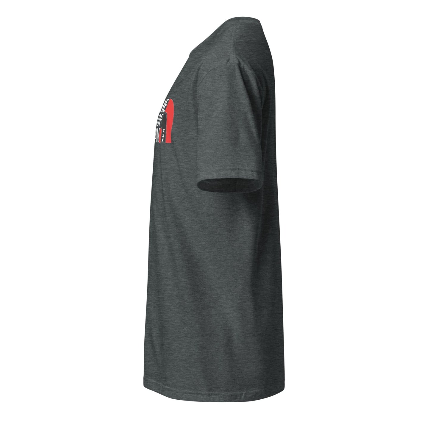 Unisex T-shirt (The city of Amsterdam)