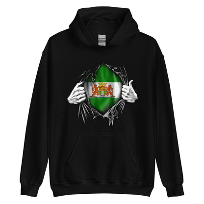 Unisex Hoodie (Super Rotterdammert)