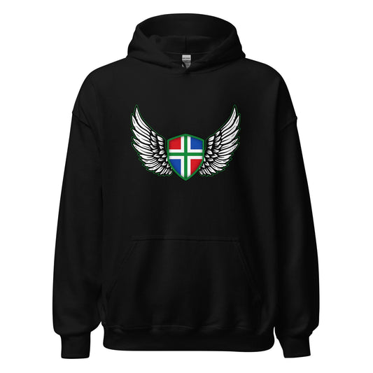 Unisex hoodie (Groningen feather)