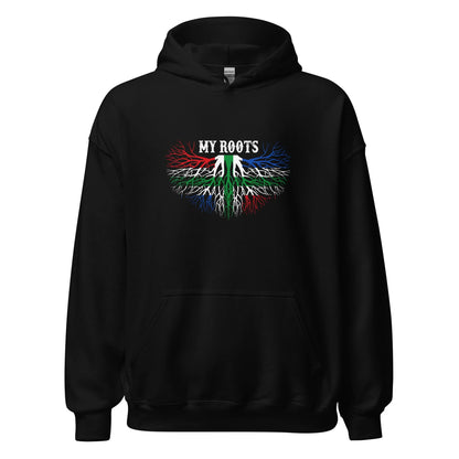 Unisex hoodie (Groningen My_roots)