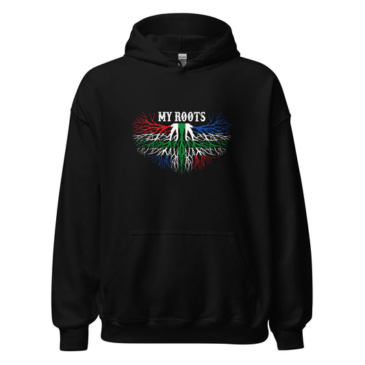 Unisex hoodie (Groningen My_roots)
