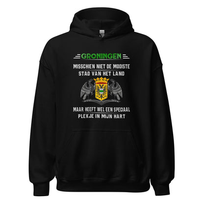 Unisex hoodie (Groningen STAD VAN HET LAND)