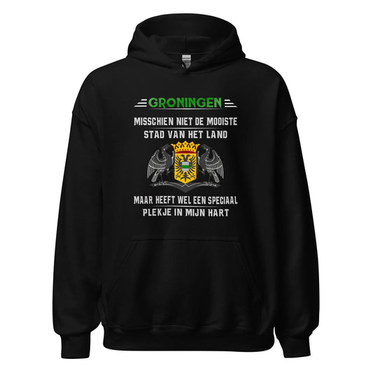 Unisex hoodie (Groningen STAD VAN HET LAND)