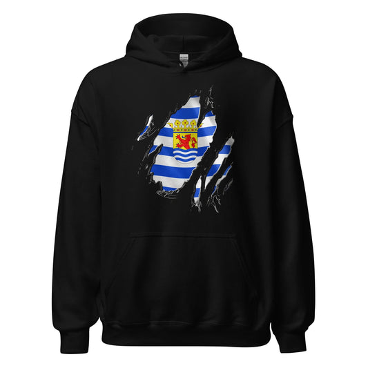 Unisex hoodie (Zeeland Flag)