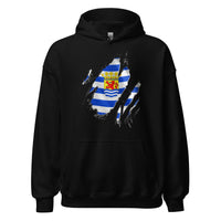 Unisex hoodie (Zeeland Flag)
