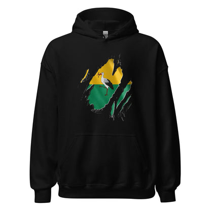 Unisex hoodie (Den Haag vlag Reigers)