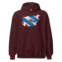 Unisex hoodie ( Boer Friesland)