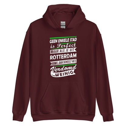Unisex Hoodie (Geen enkele stad is perfect)
