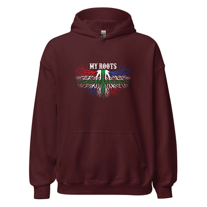 Unisex hoodie (Groningen My_roots)