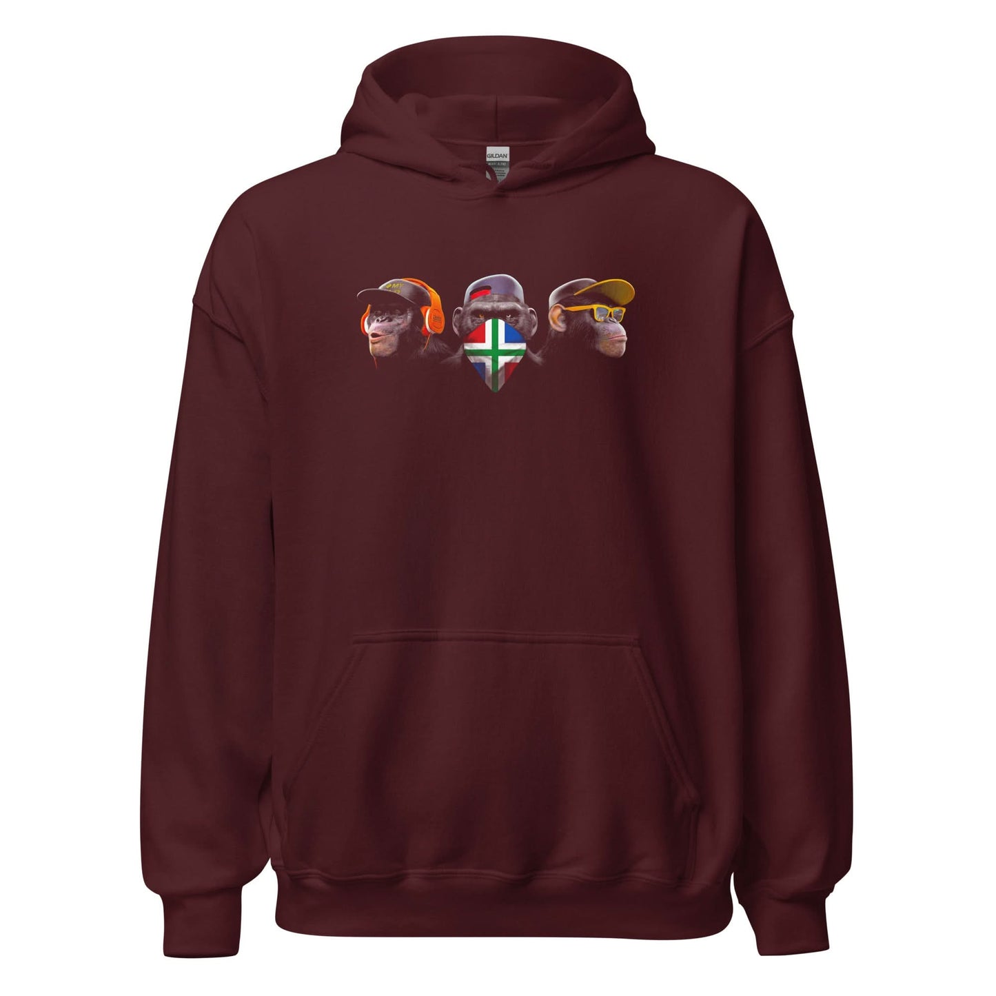 Unisex hoodie (Groningen Flag Horen Zien en Zwijgen)