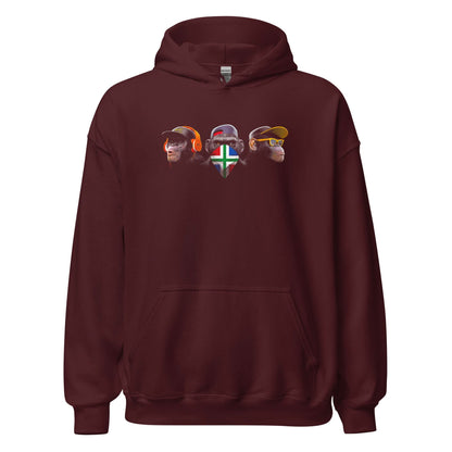 Unisex hoodie (Groningen Flag Horen Zien en Zwijgen)