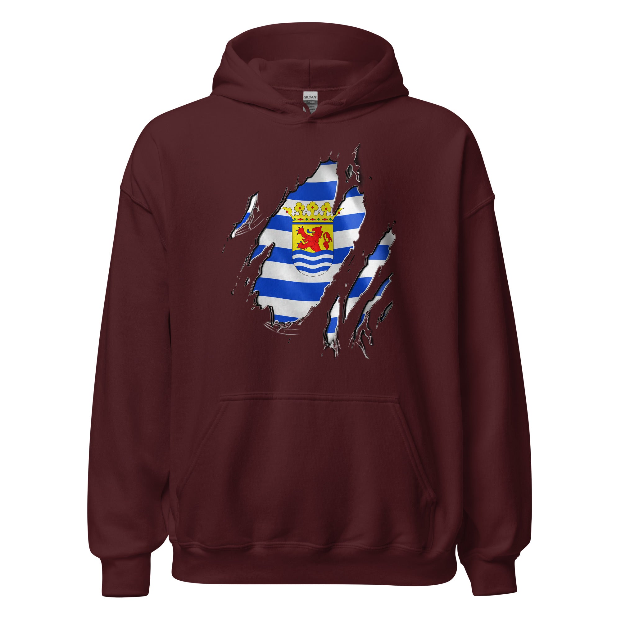 Unisex hoodie (Zeeland Flag)