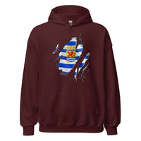 Unisex hoodie (Zeeland Flag)
