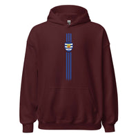 Unisex hoodie (Zeeland Line)