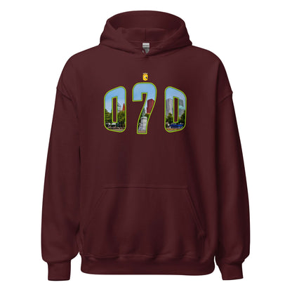Unisex hoodie (Den Haag 070)