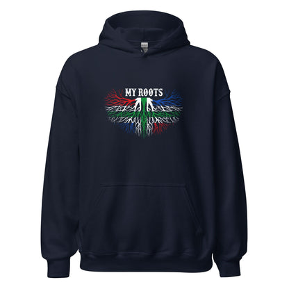 Unisex hoodie (Groningen My_roots)